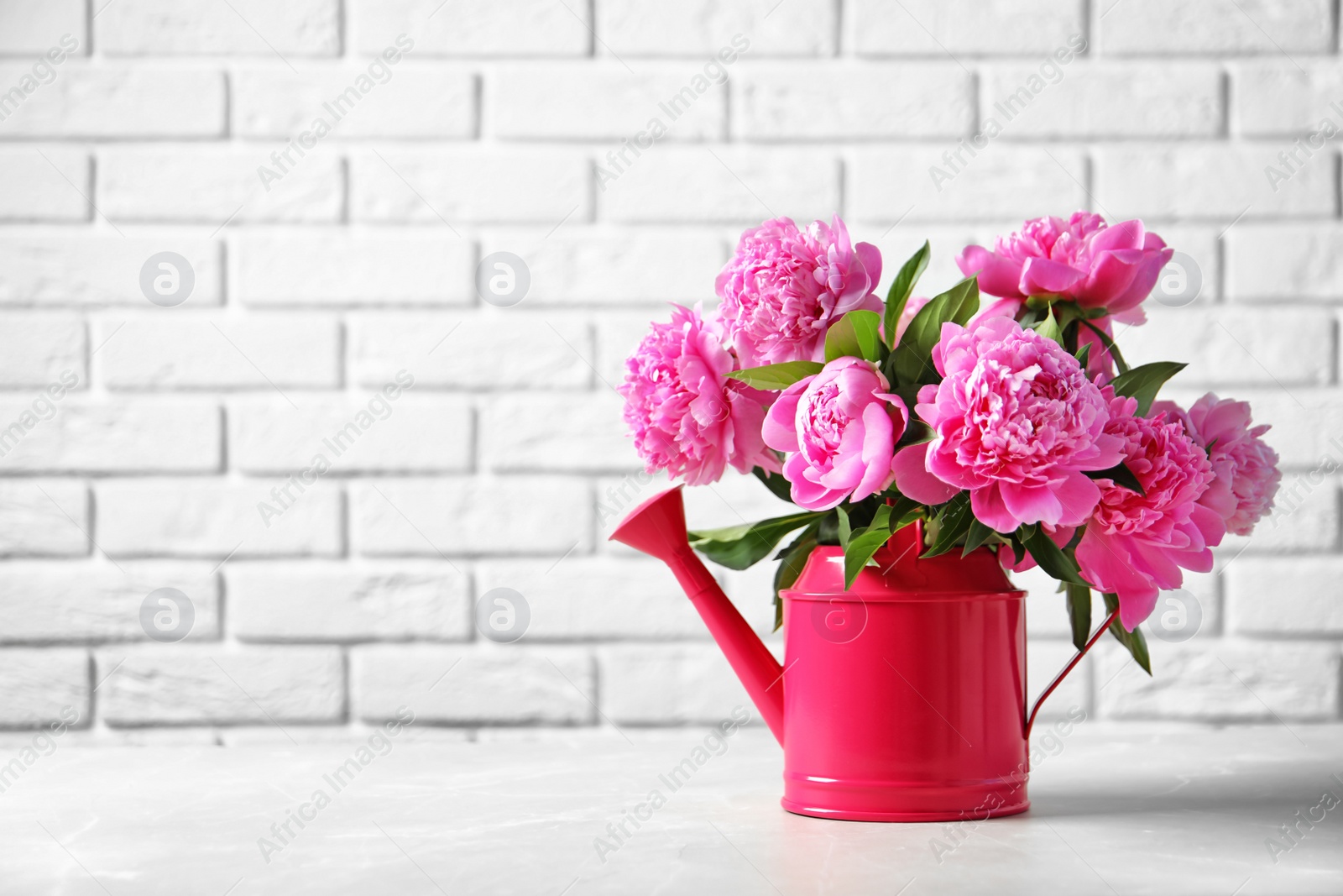 Photo of Watering can with beautiful peony flowers on table against brick wall