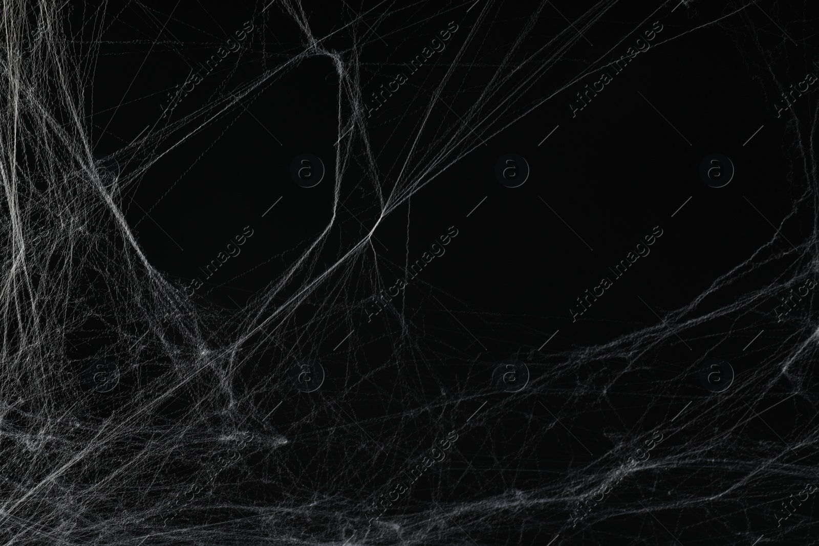 Photo of Creepy white spider web on black background