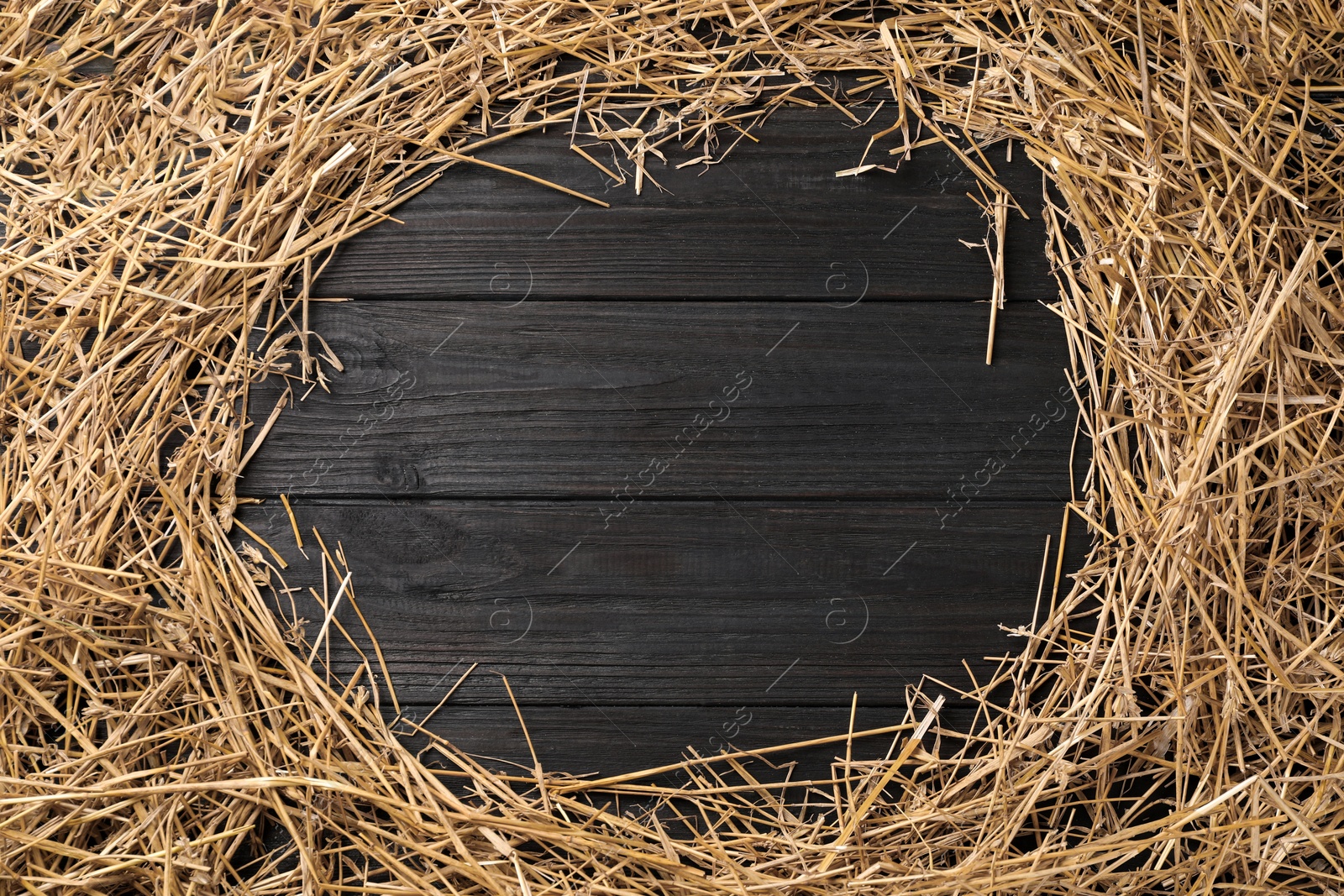 Photo of Frame of dried straw on dark wooden table, top view. Space for text