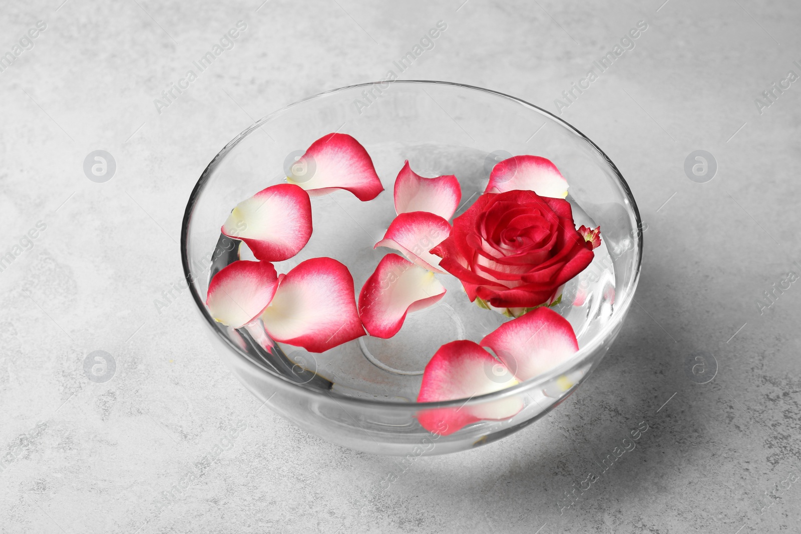 Photo of Glass bowl with aroma spa water, rose and petals on grey background