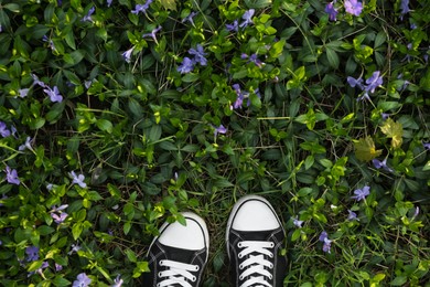 Photo of Person in gumshoes standing on meadow with beautiful periwinkle flowers outdoors, top view