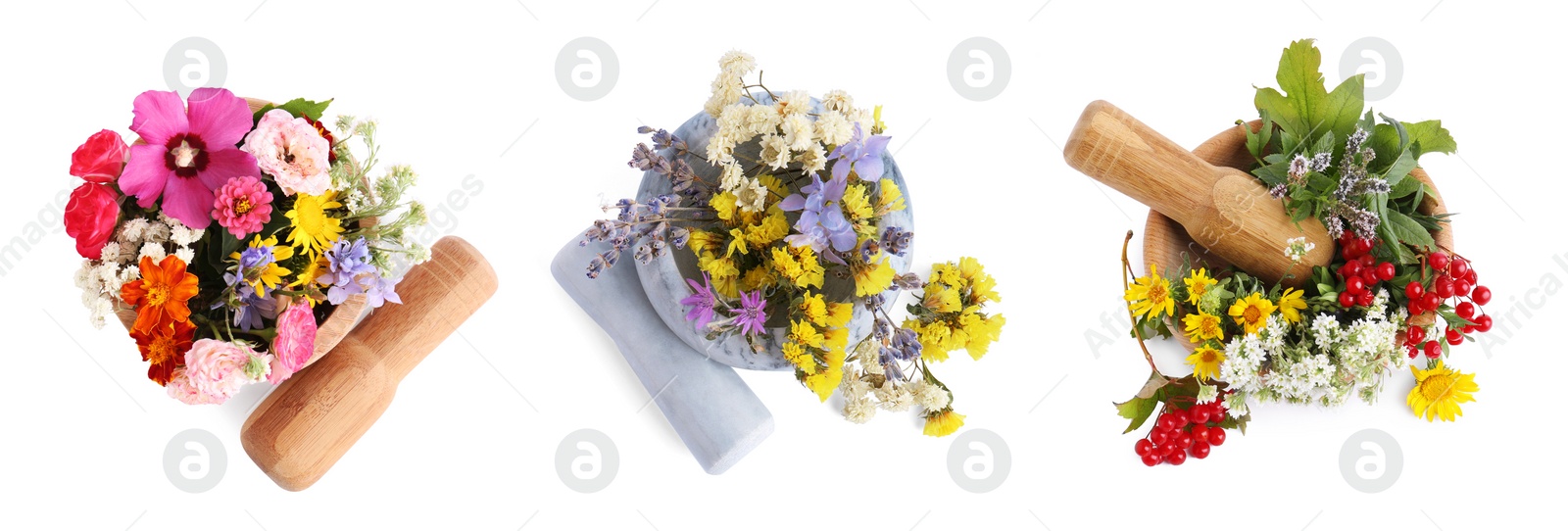 Image of Set of mortars with flowers on white background, top view