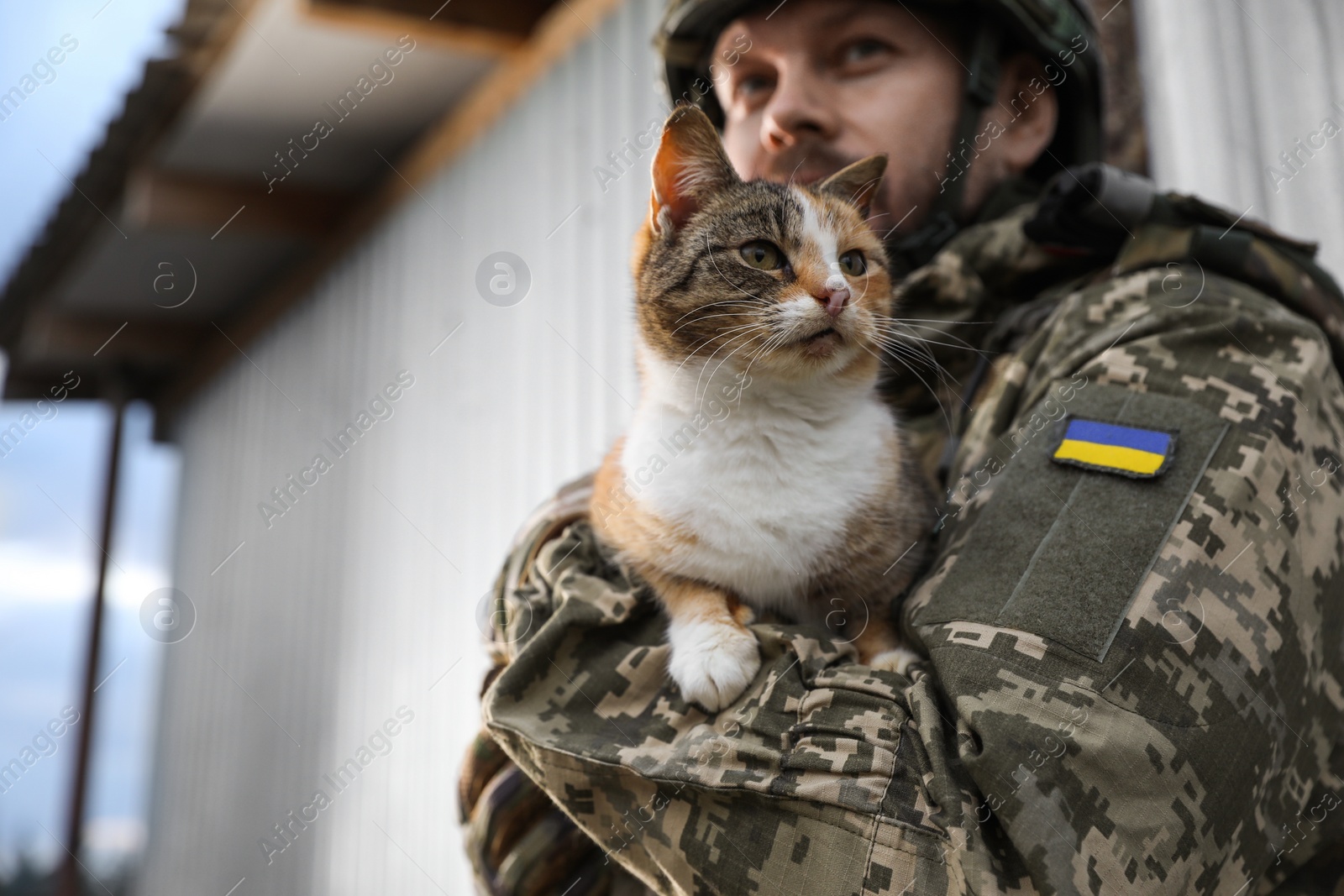 Photo of Ukrainian soldier with stray cat outdoors, closeup. Space for text