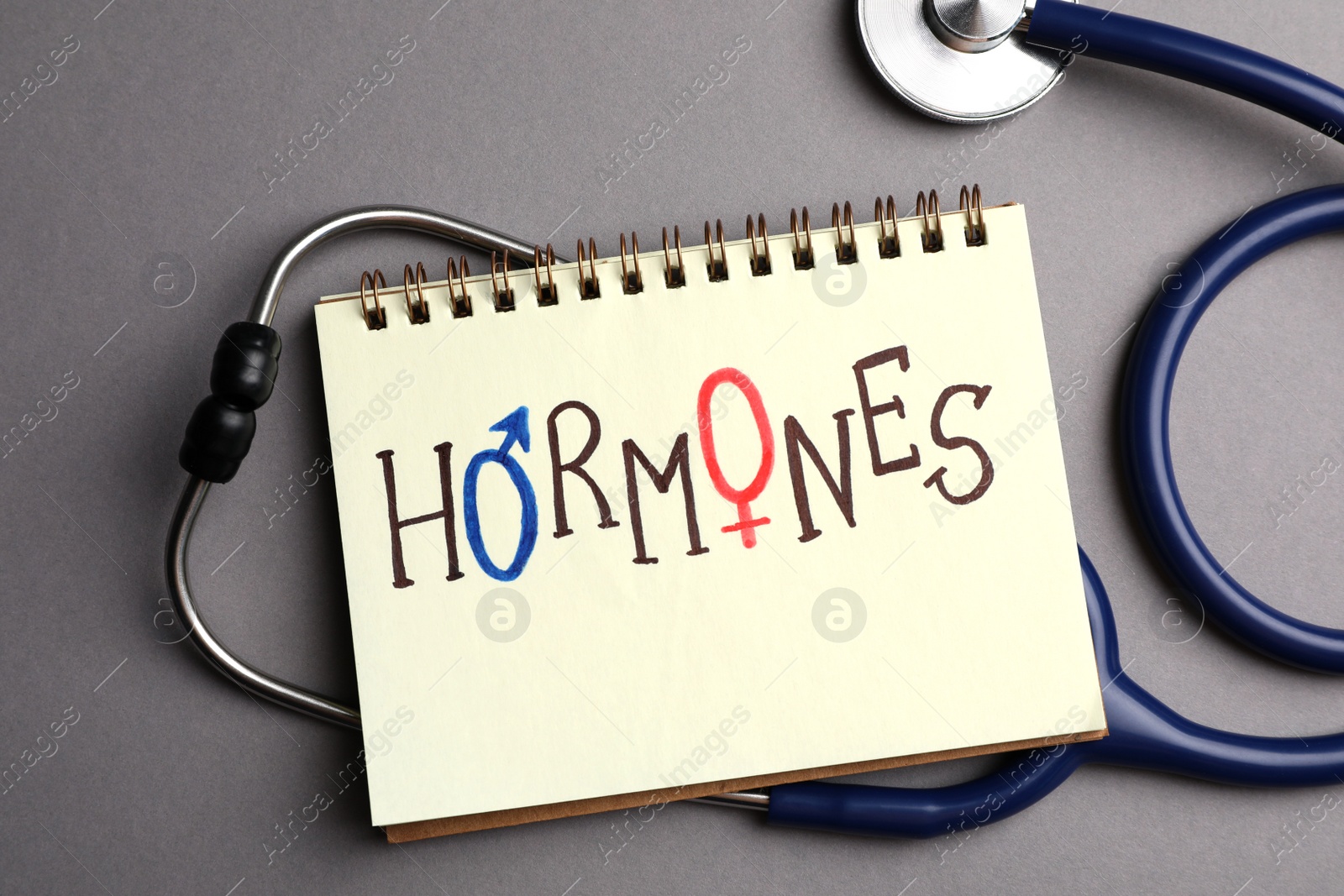 Photo of Notebook with word HORMONES and stethoscope on grey background, flat lay