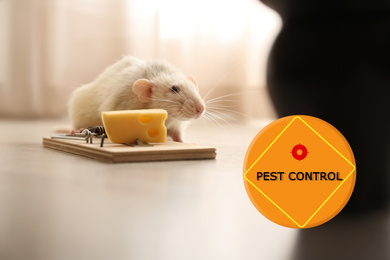 Image of Rat near mousetrap with cheese indoors and warning sign Pest Control