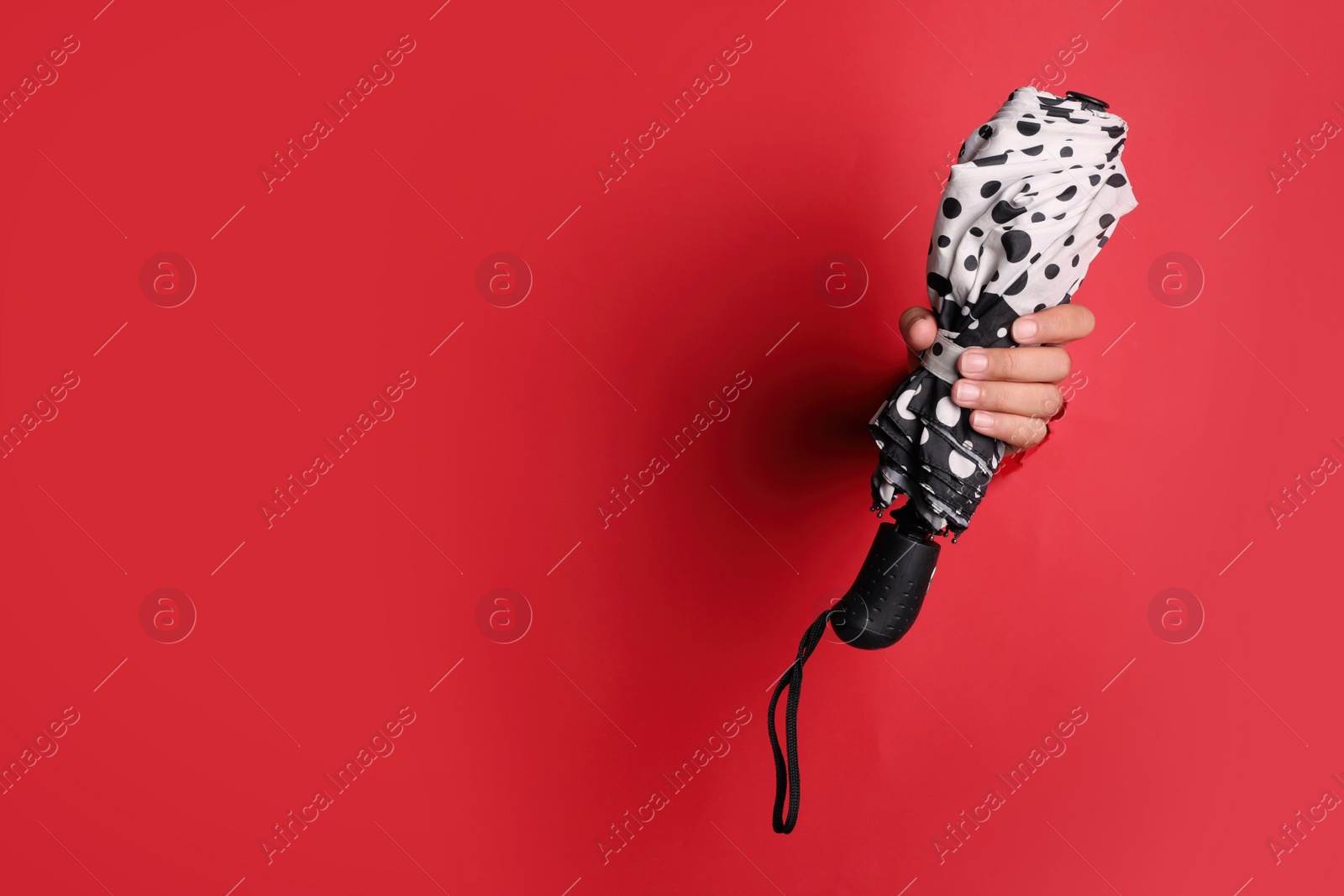 Photo of Woman holding bright umbrella through hole in red paper, closeup. Space for text