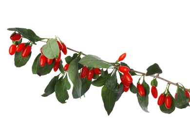 Photo of Twig with fresh goji berries on white background