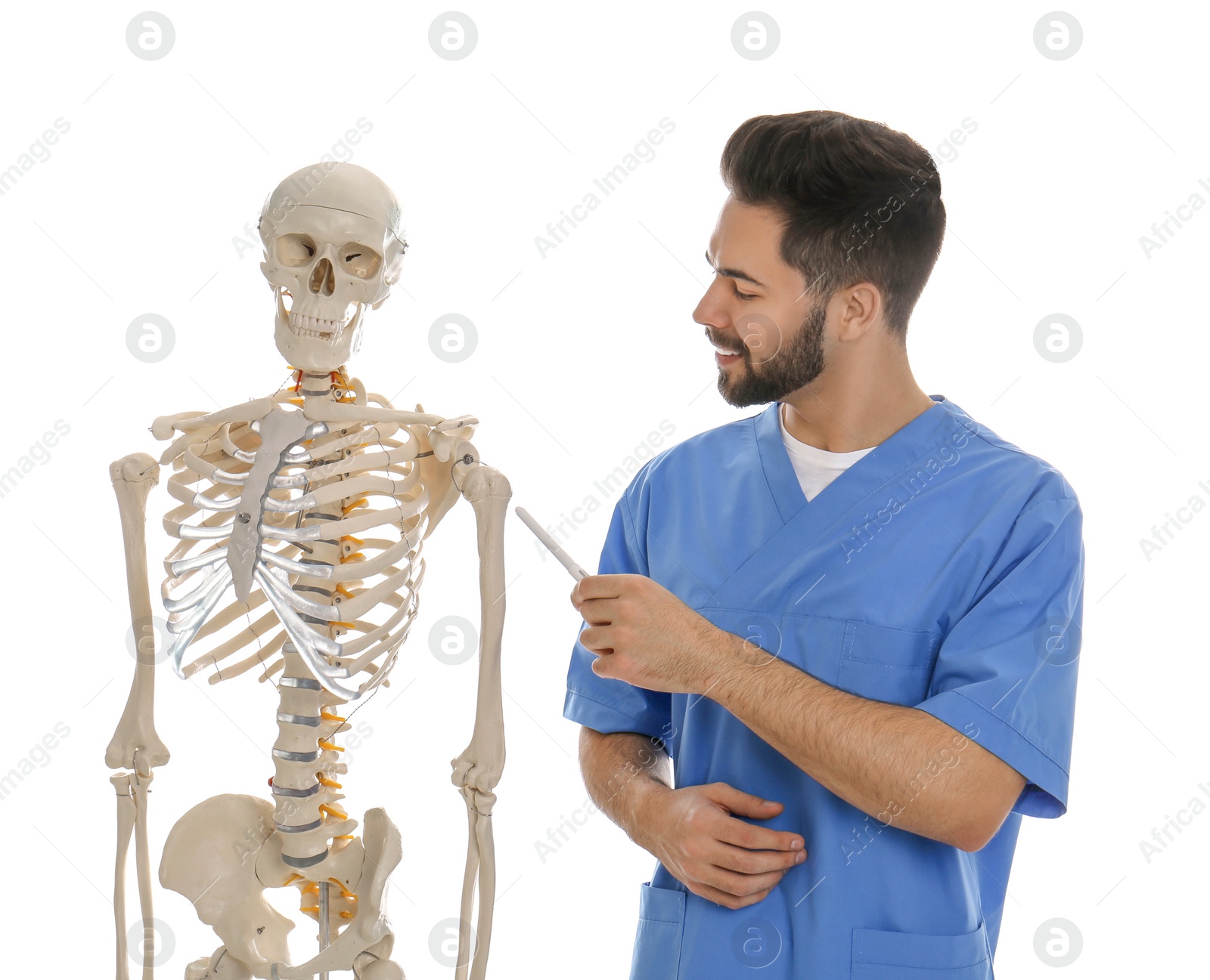 Photo of Male orthopedist with human skeleton model on white background