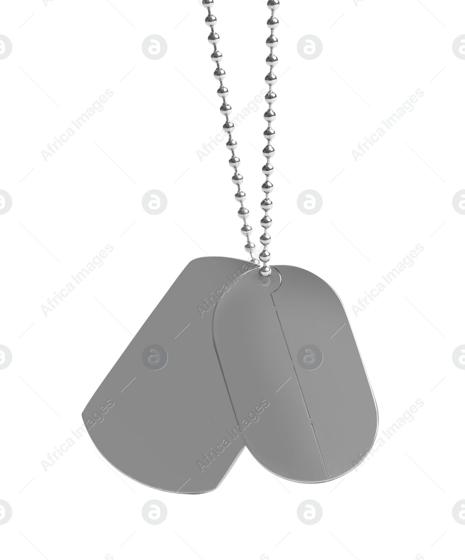 Photo of Blank military ID tags isolated on white