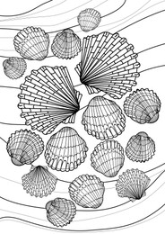 Beautiful sea shells on white background, illustration. Coloring page