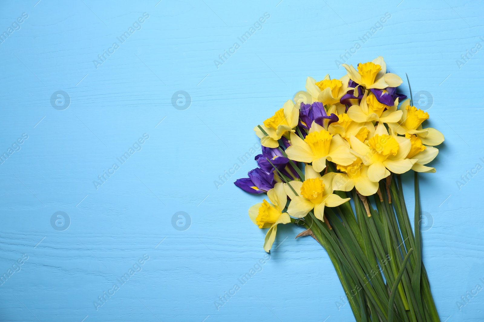 Photo of Bouquet of beautiful yellow daffodils and iris flowers on light blue wooden table, top view. Space for text