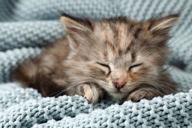 Photo of Cute kitten sleeping on light blue knitted blanket