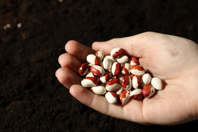 Photo of Woman holding pile of beans over soil, closeup. Vegetable seeds planting