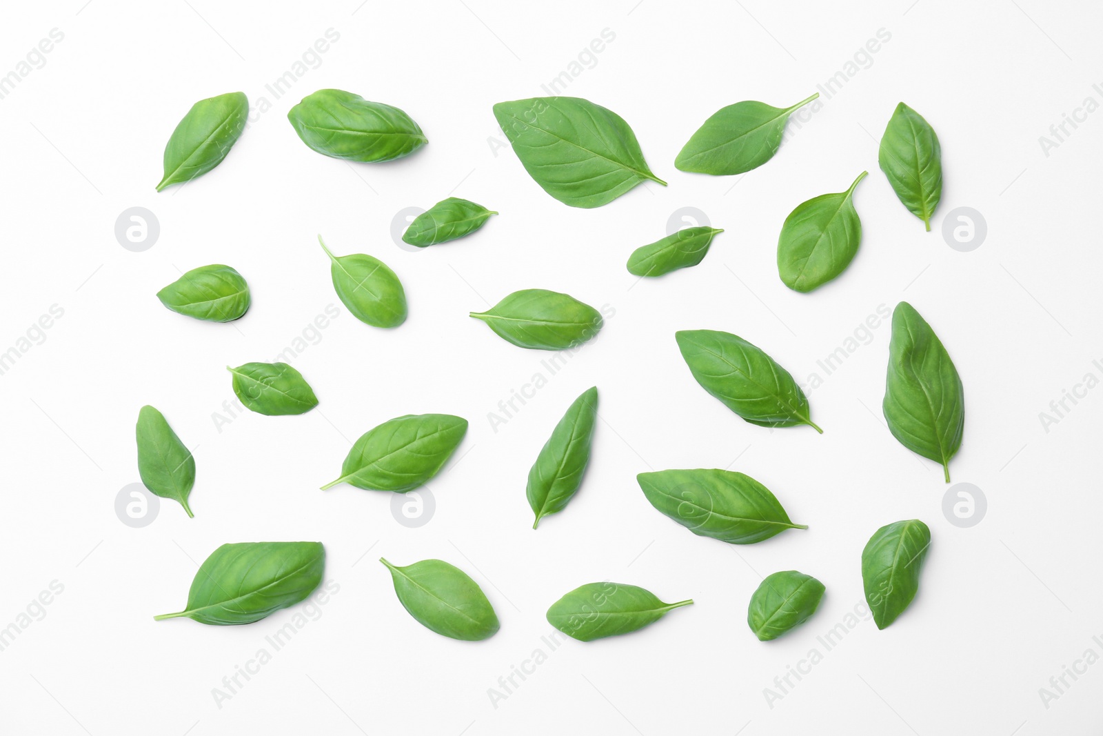 Photo of Fresh green basil leaves on white background, top view