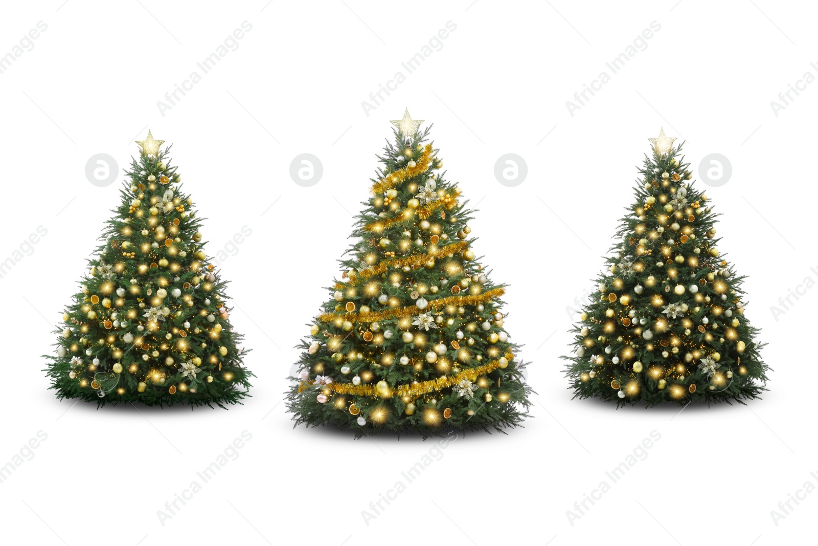 Image of Christmas trees decorated with ornaments and festive lights isolated on white, set