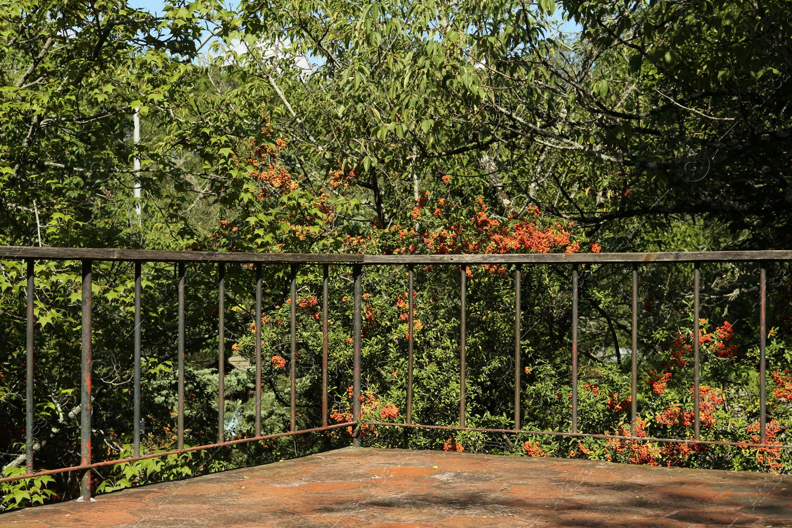 Photo of Hand railings near many beautiful trees outdoors