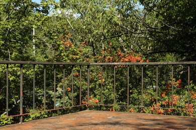 Hand railings near many beautiful trees outdoors