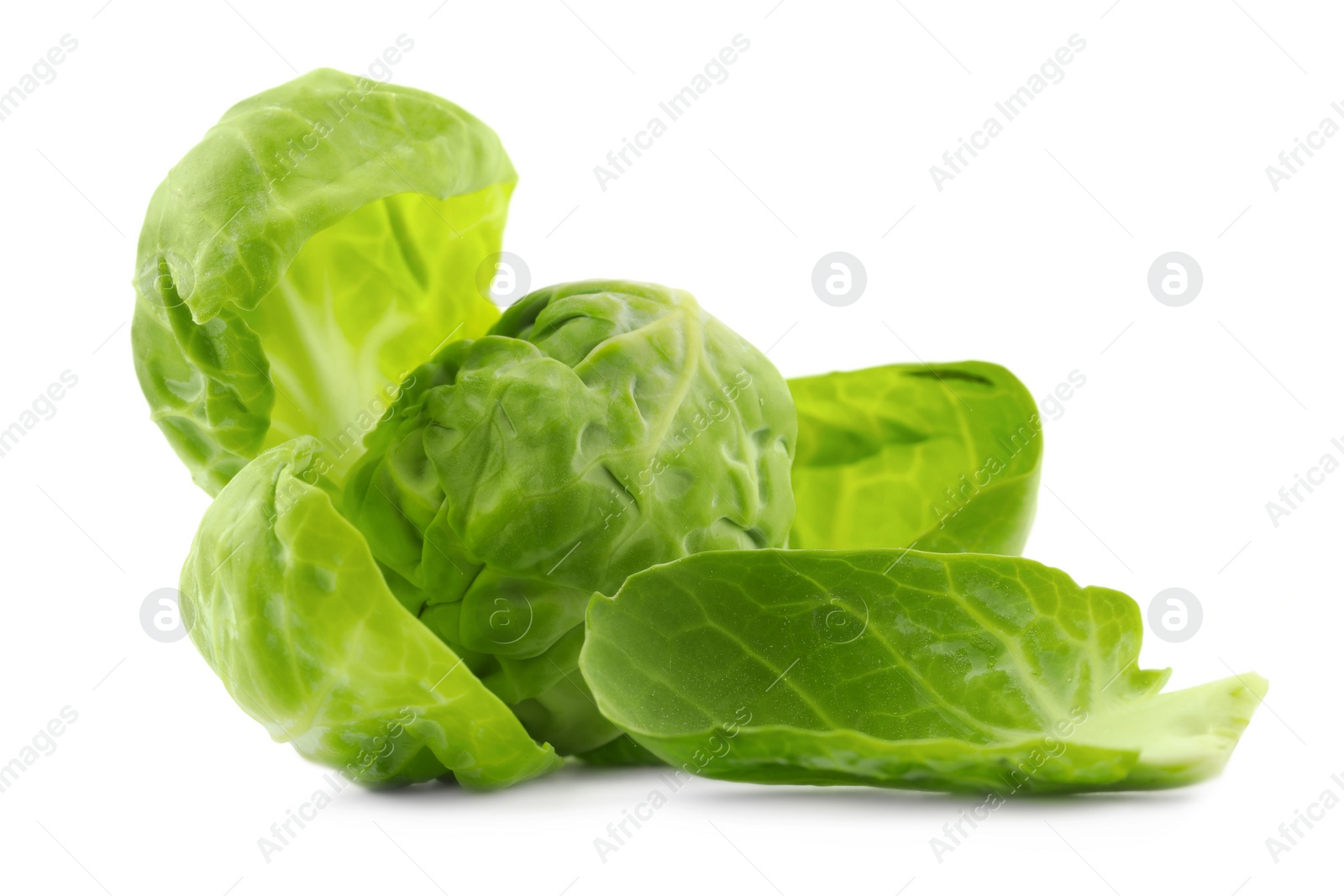 Photo of Fresh green brussels sprout and leaves on white background