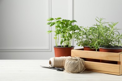 Different aromatic potted herbs, treads, and scissors on white wooden table. Space for text