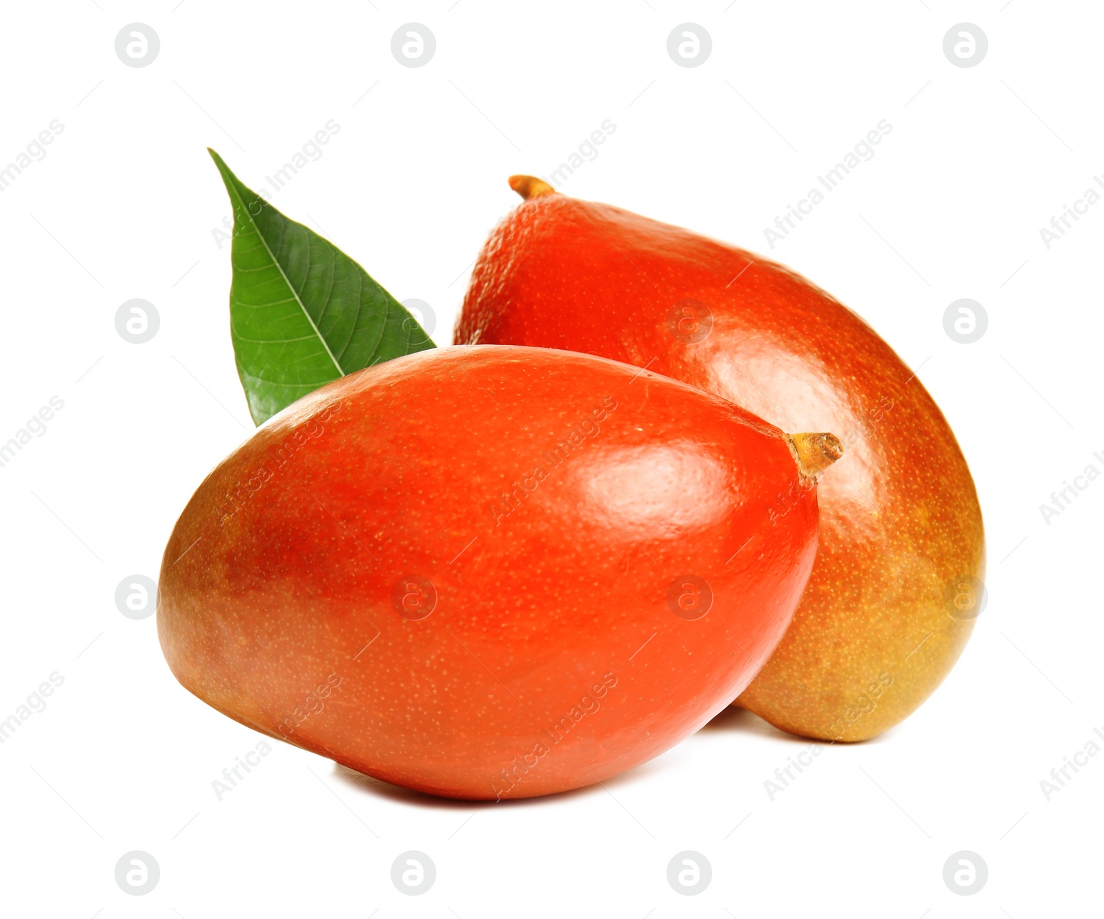 Photo of Delicious ripe mangoes on white background. Tropical fruit