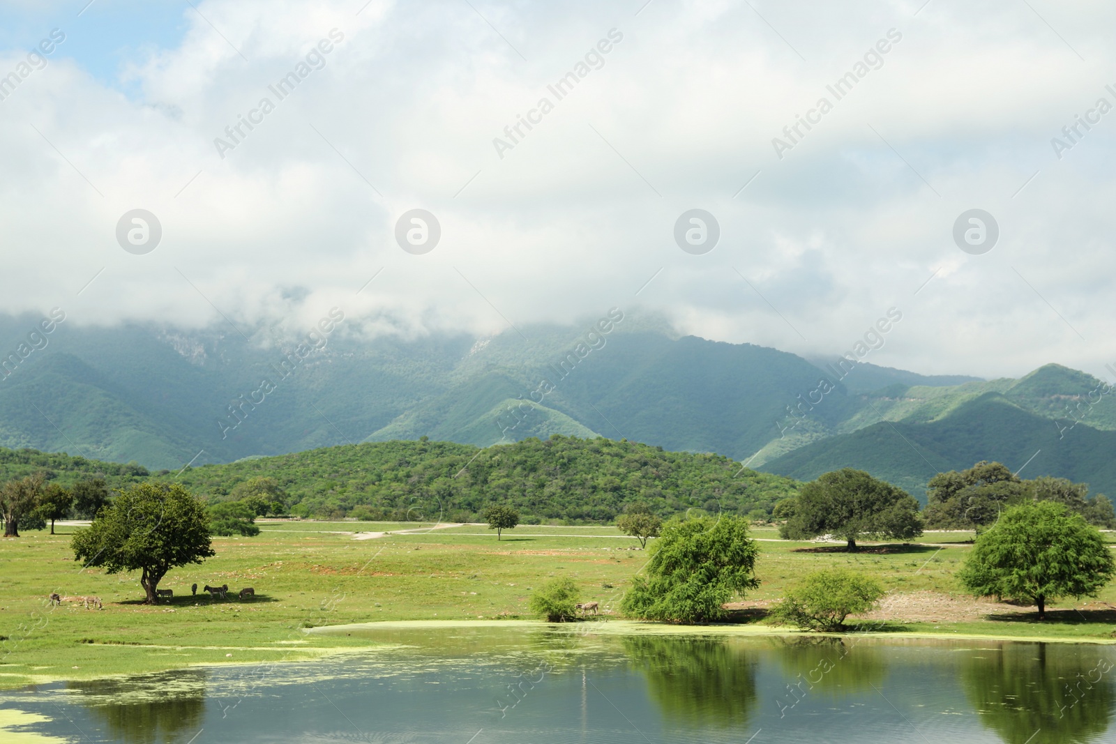 Photo of Picturesque view of mountains and green meadow with lake