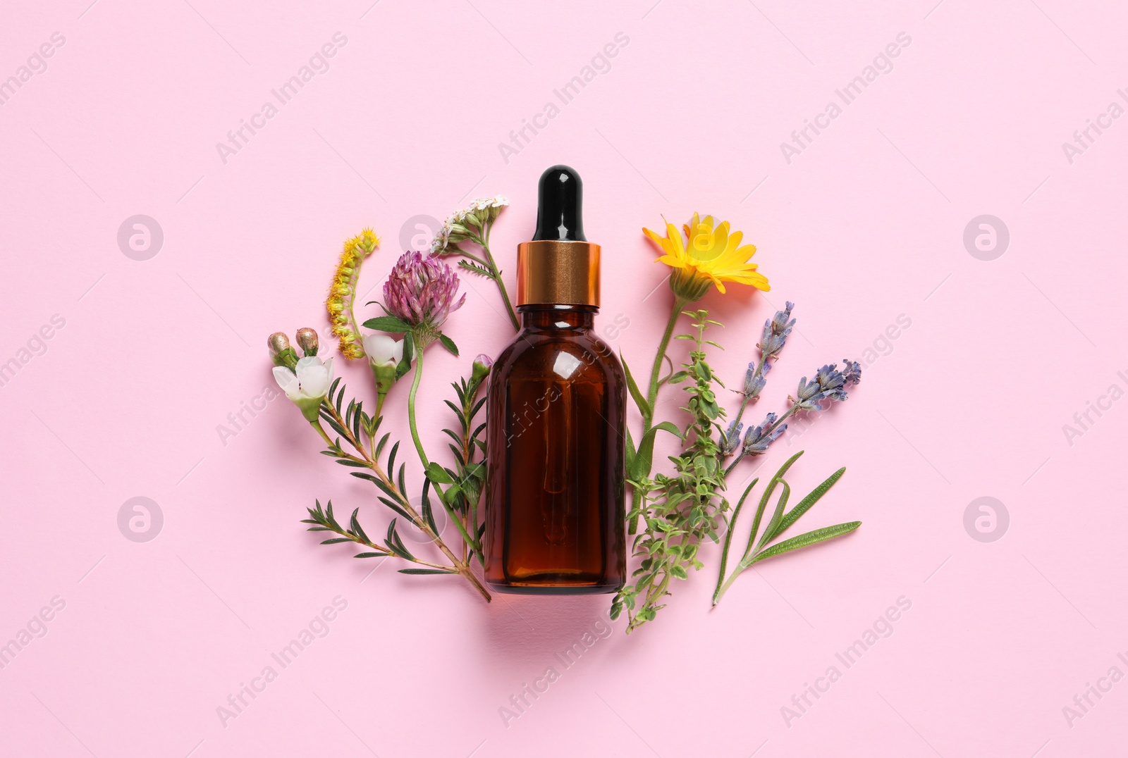 Photo of Bottle of essential oil, different herbs and flowers on pink background, flat lay