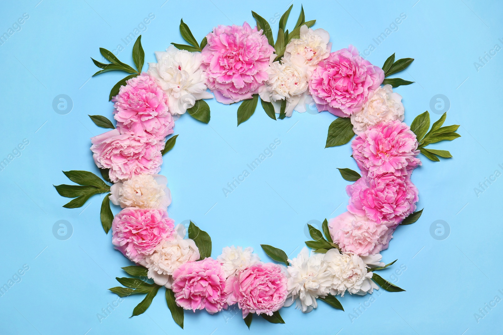 Photo of Frame made of beautiful peony flowers and green leaves on light blue background, flat lay. Space for text