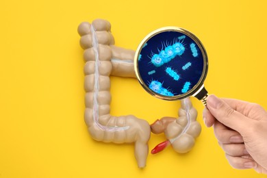 Image of Microorganisms research. Woman with magnifying glass and anatomical model of intestine on yellow background, top view