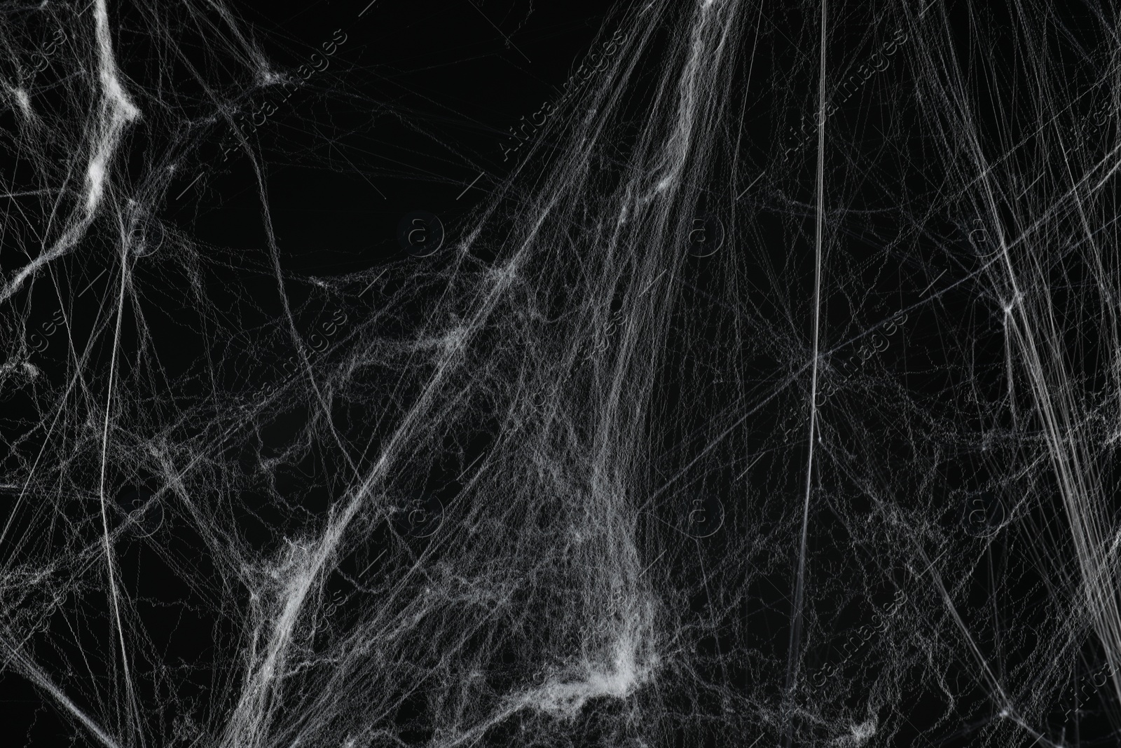 Photo of Creepy white spider web on black background