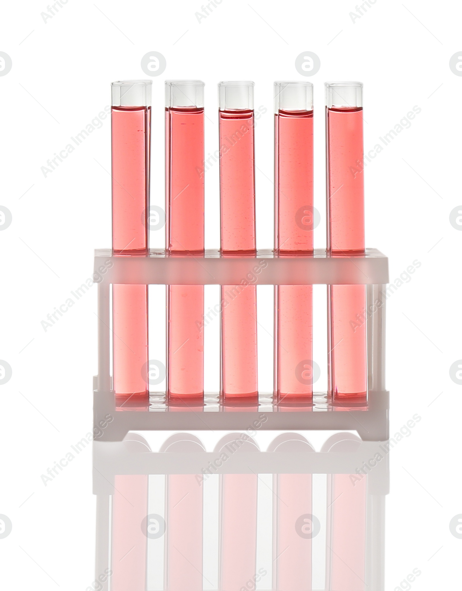 Photo of Test tubes with red liquid in rack isolated on white