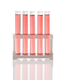 Test tubes with red liquid in rack isolated on white