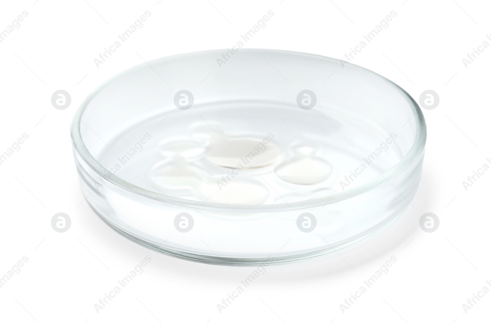 Photo of Petri dish with liquid isolated on white