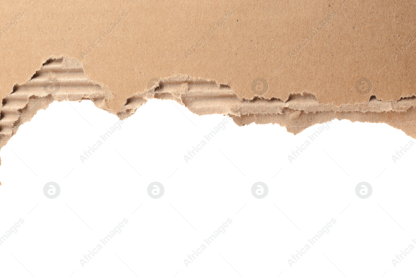Photo of Torn cardboard on white background. Recyclable material