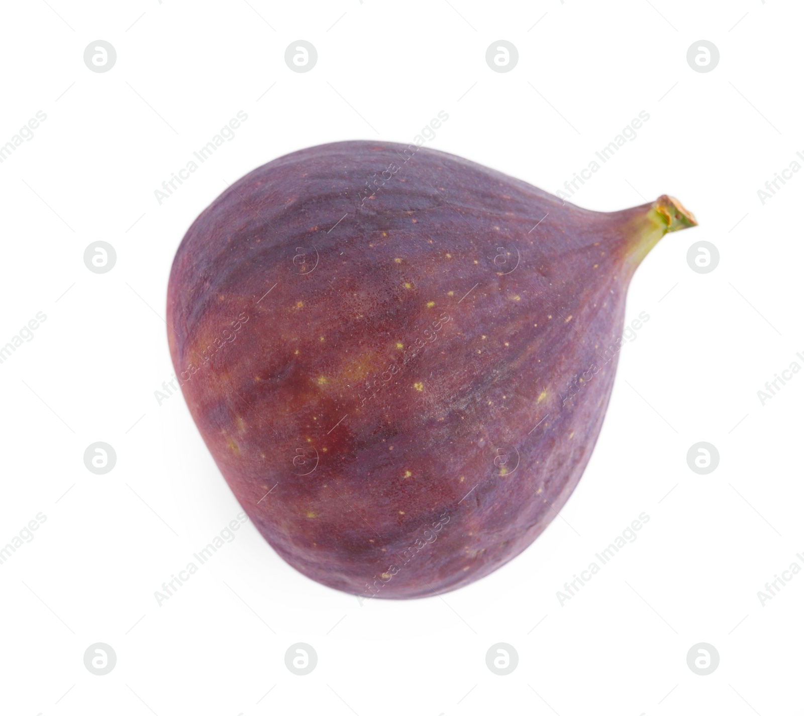 Photo of One fresh ripe fig isolated on white