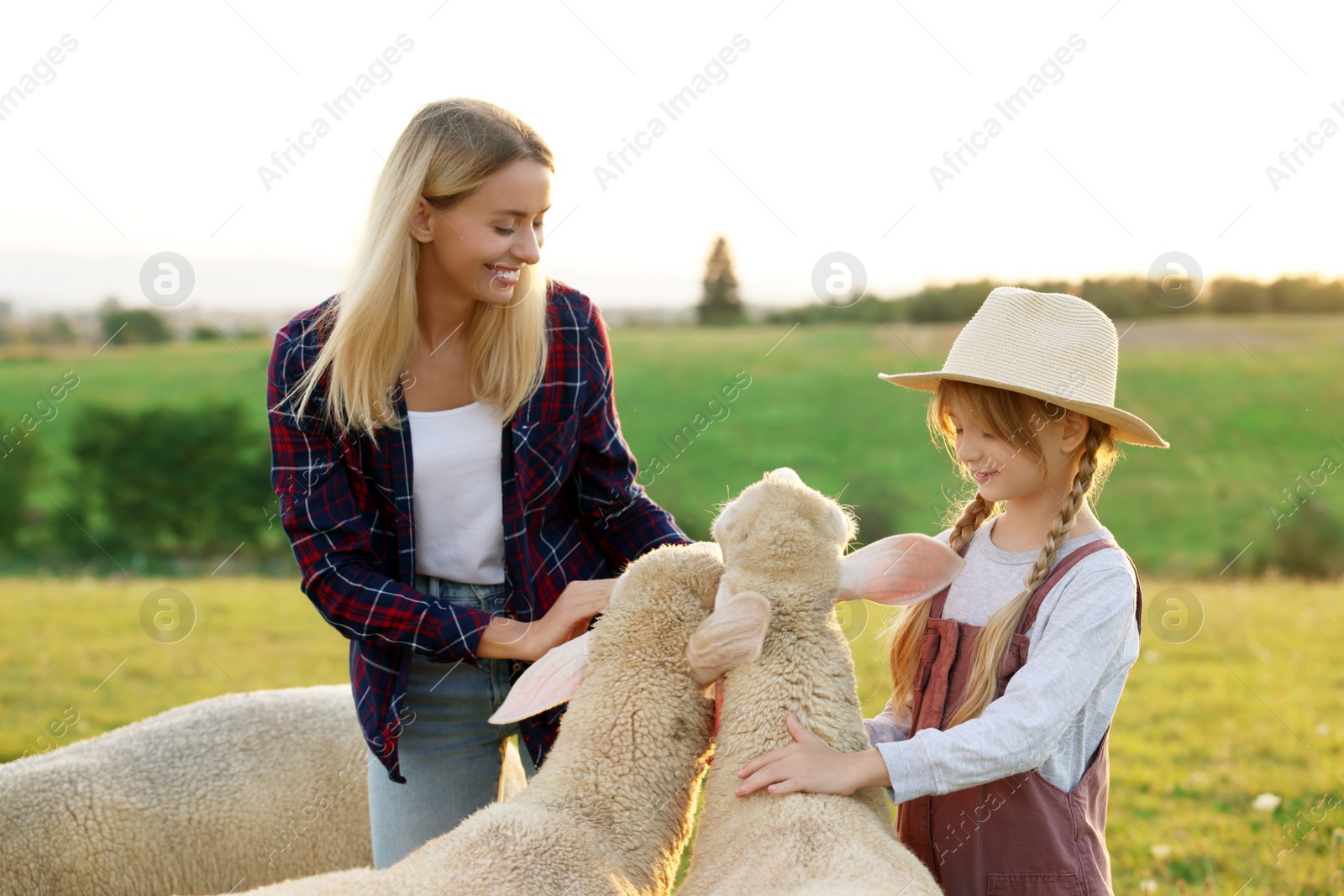 Photo of Mother and daughter stroking sheep on pasture. Farm animals