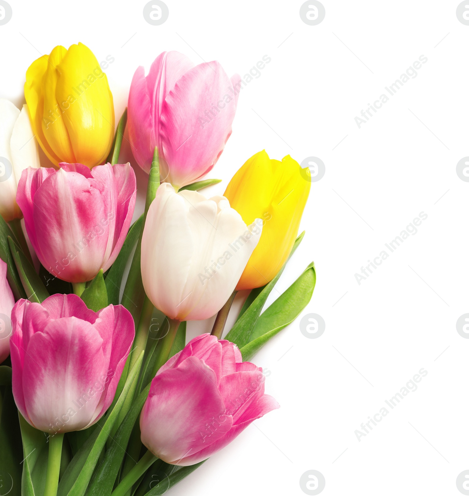 Photo of Beautiful spring tulips on white background, top view. International Women's Day