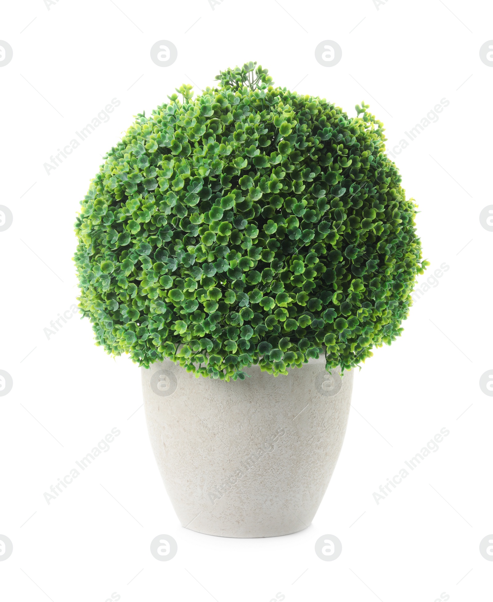 Photo of Beautiful artificial plant in flower pot isolated on white