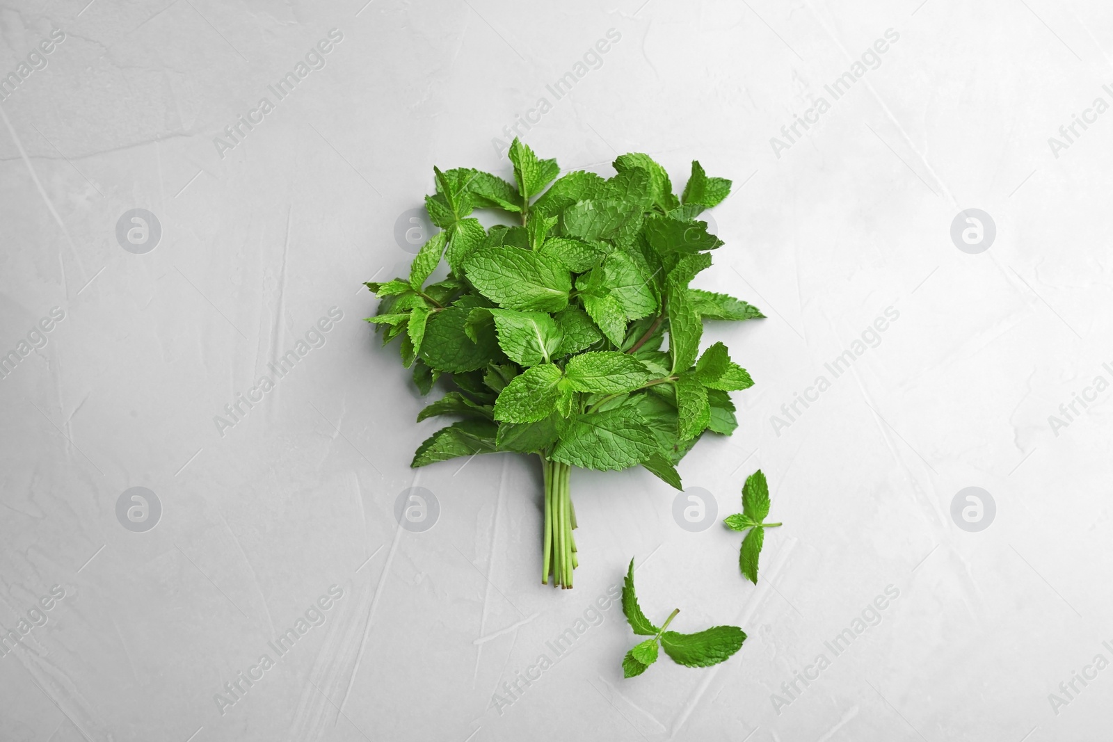 Photo of Bunch of fresh mint on grey background, top view