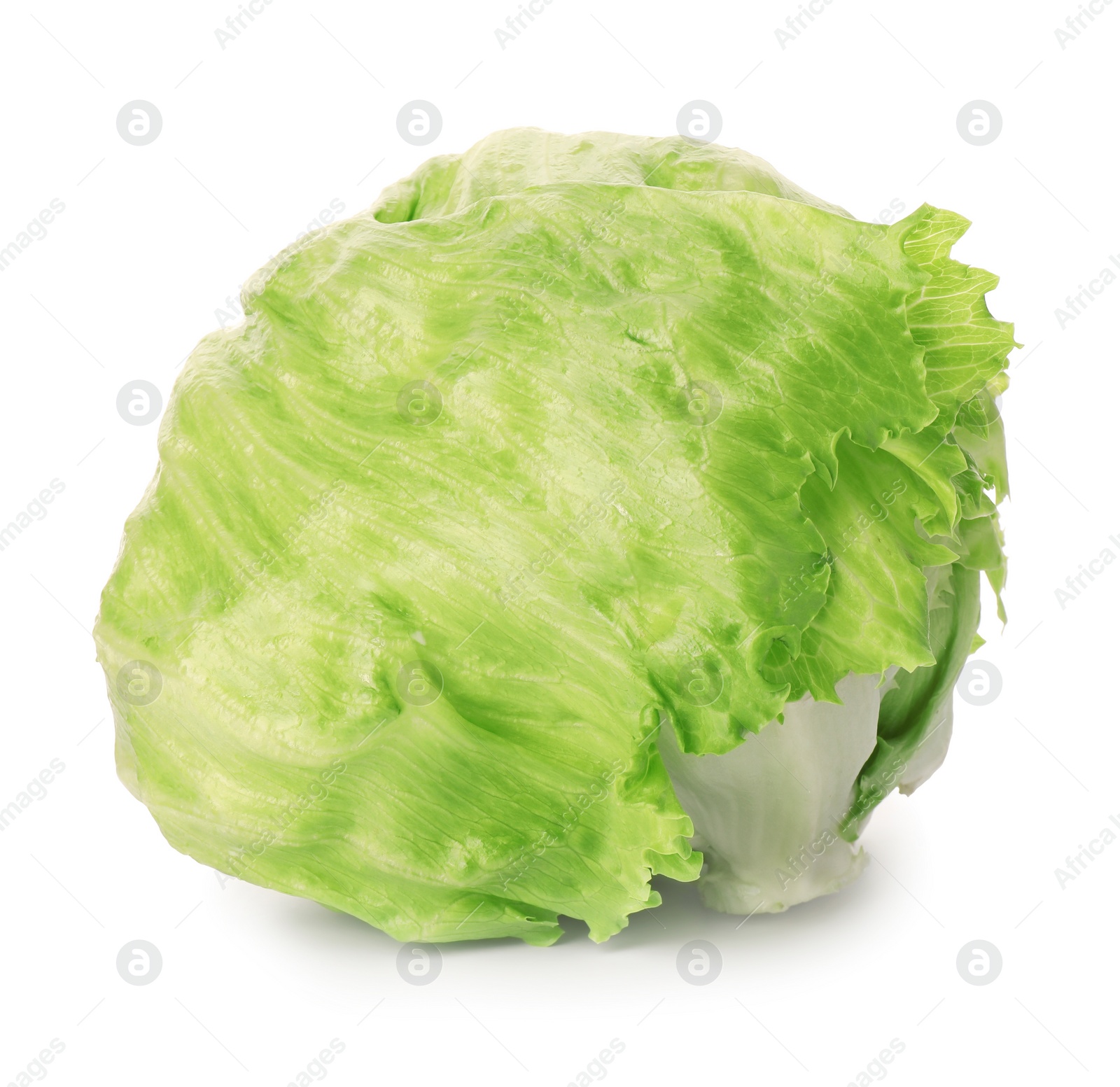 Photo of Fresh green iceberg lettuce isolated on white