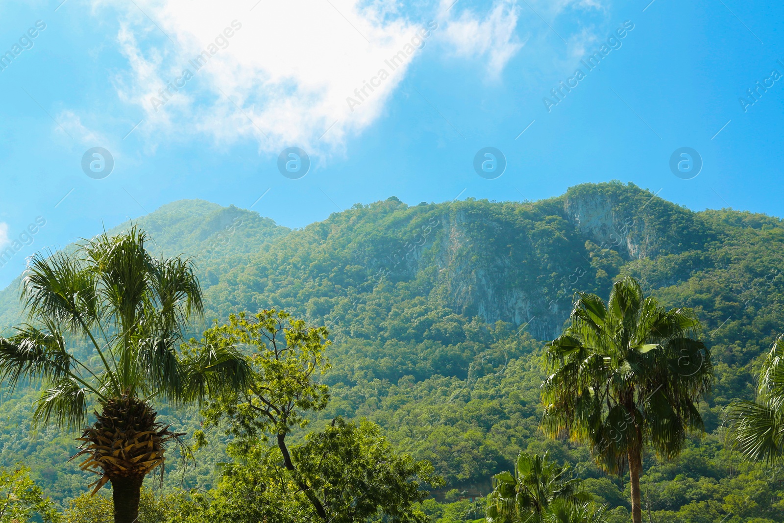 Photo of Picturesque view of beautiful mountains and blue sky