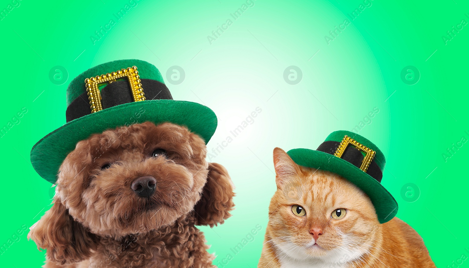 Image of St. Patrick's day celebration. Cute dog and cat in leprechaun hats on green background. Banner design
