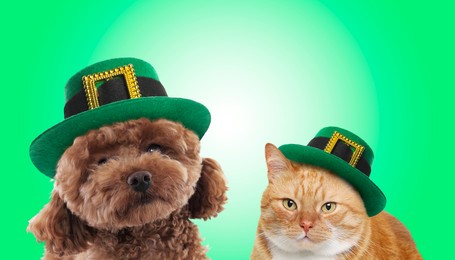 Image of St. Patrick's day celebration. Cute dog and cat in leprechaun hats on green background. Banner design