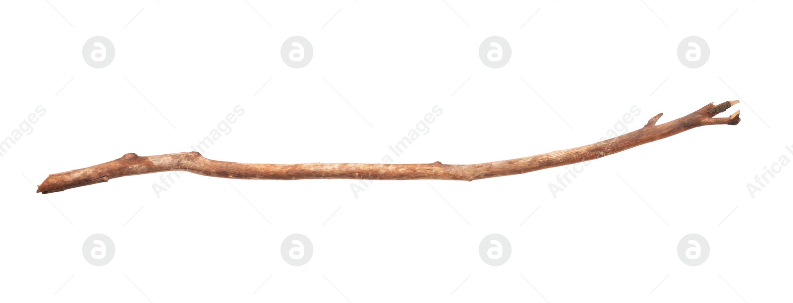 Photo of One old wooden stick isolated on white