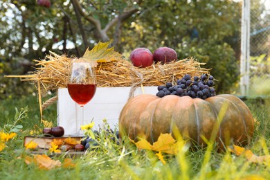 Photo of Glass of wine, book, pumpkin and grapes on green grass in park. Autumn picnic