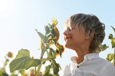 Photo of Cute little boy sniffing sunflower outdoors. Child spending time in nature