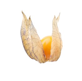 Ripe physalis fruit with calyx isolated on white