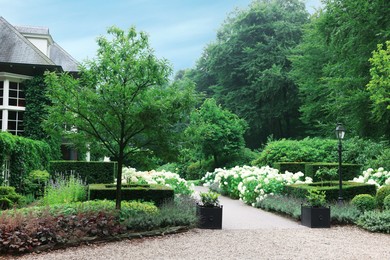 Lovely garden with blooming plants and paved pathway. Landscape design