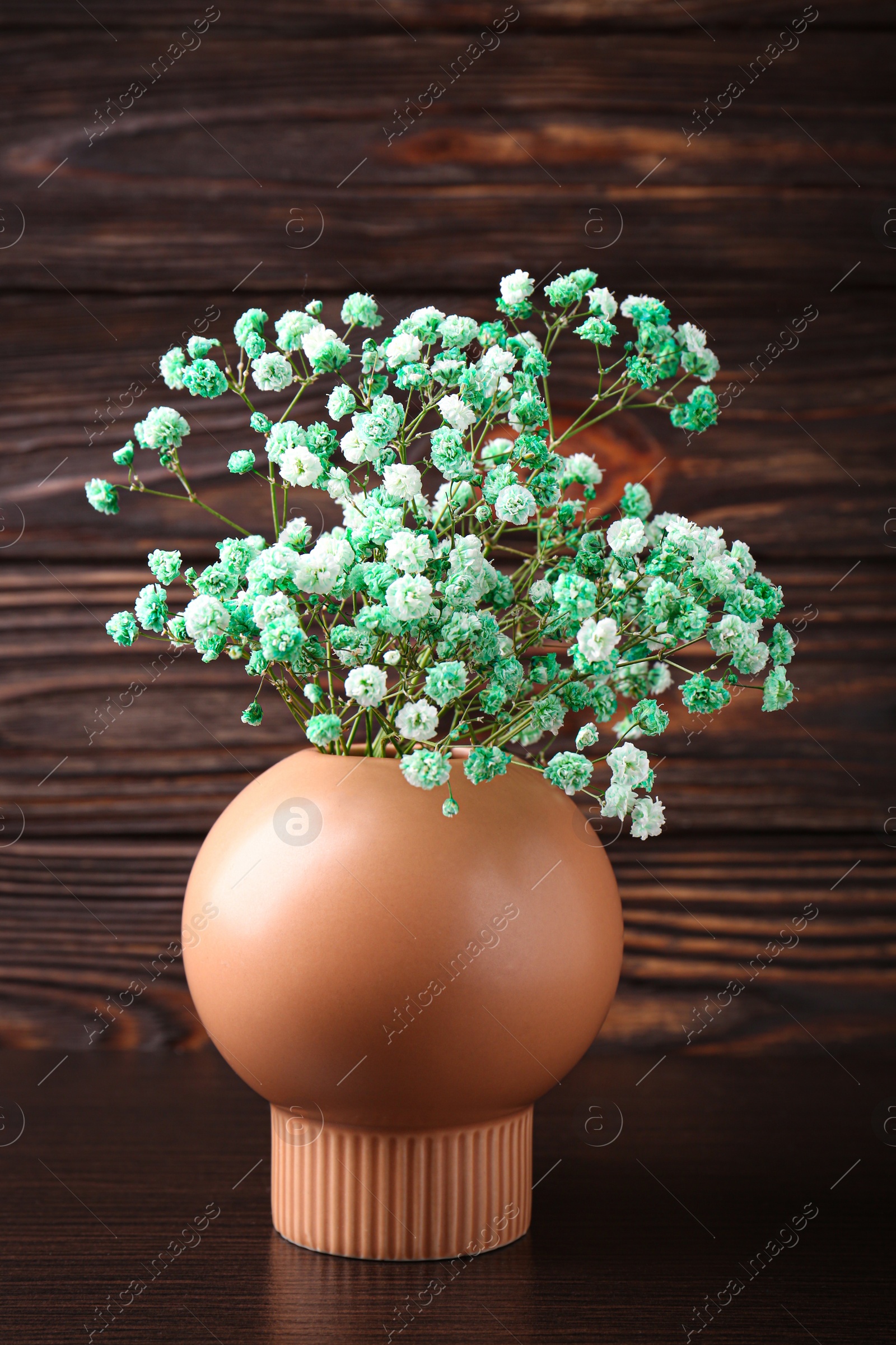 Photo of Beautiful dyed gypsophila flowers in stylish vase on wooden table