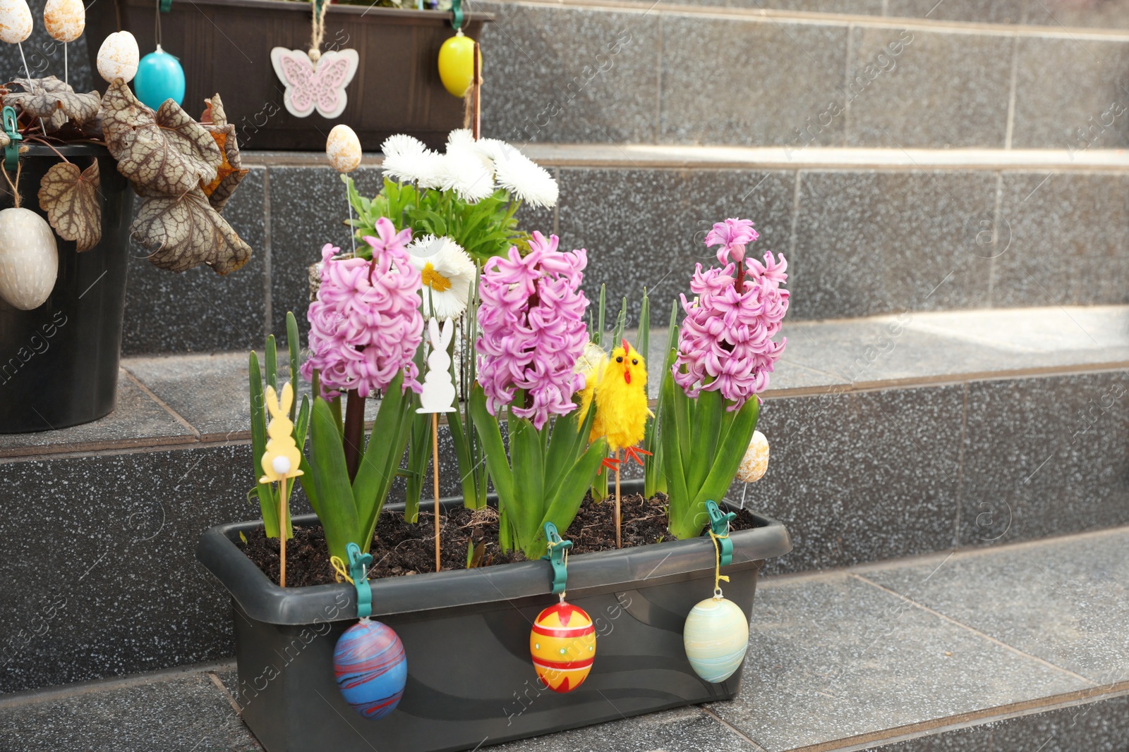 Photo of Beautiful hyacinth flowers with decorative eggs on stairs outdoors. Easter celebration