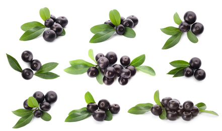 Image of Set of fresh acai berries with green leaves on white background